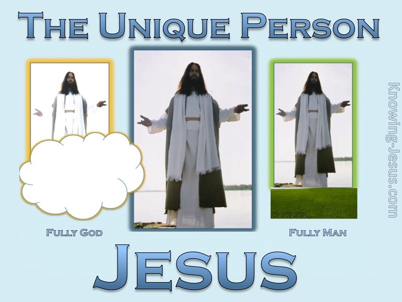 Jesus The Unique Person (devotional)09-14 (blue)